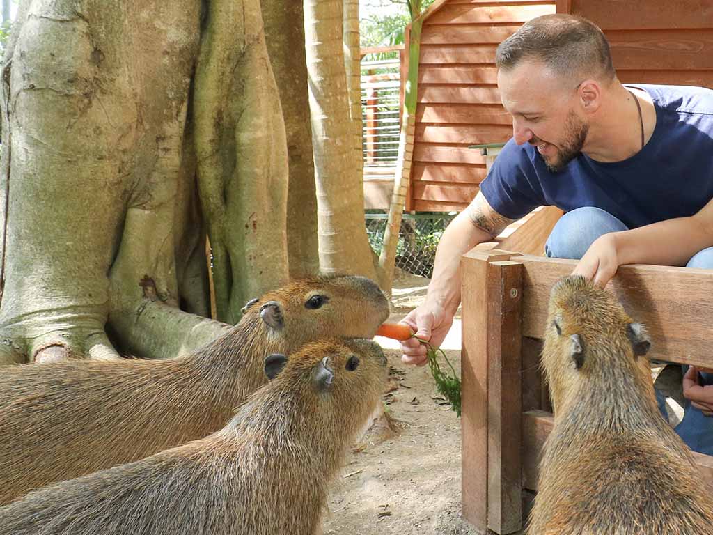 Currumbin_Wildlife_Sanctuary_Capybara_Encounter_Mobile_1024x768.jpg