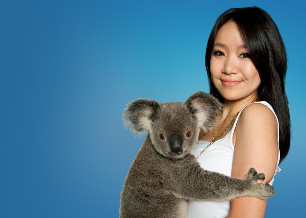 koala-cuddle-mob.jpg